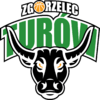 logo-icon