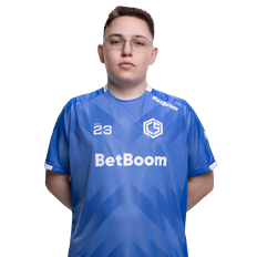 bl1x1