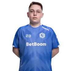 bl1x1