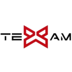X Team Esports