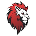 Leo Team