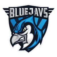BLUEJAYS Royal