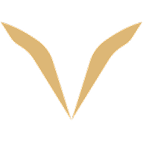 Vatic Esports