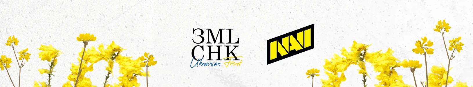 ЗМLCHK showmatch